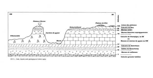 Figure 2 : Coupe des plateaux de la vallée de la Marne montrant le passage du gypse au Nord-Ouest, au calcaire de Champigny au Sud-Est.