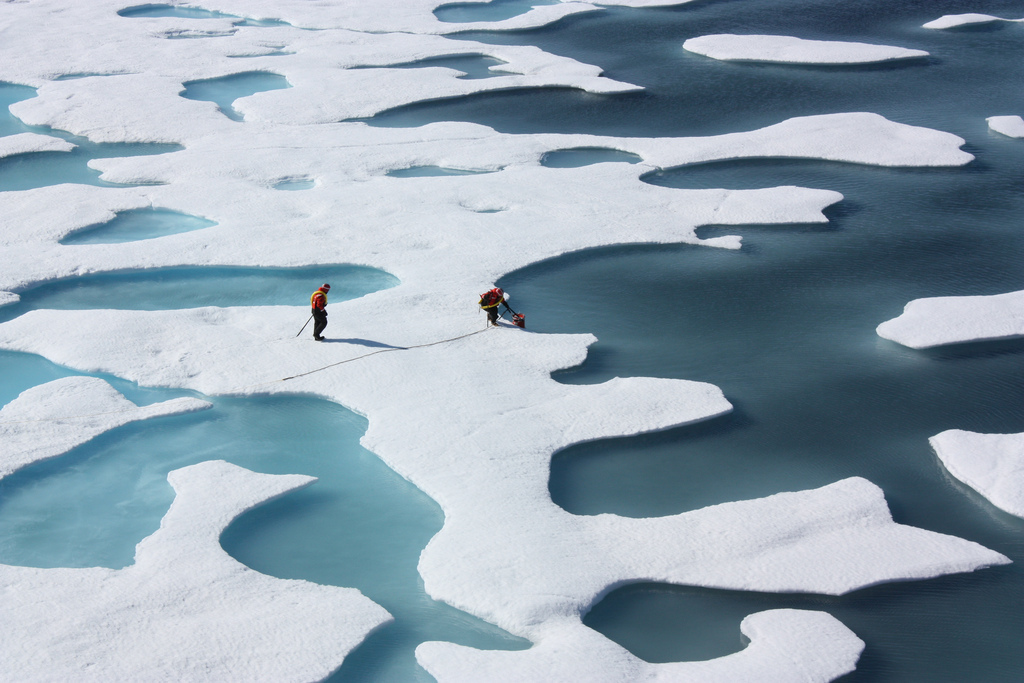 Glace de mer (arctique) Crédit : NASA/Kathryn Hansen