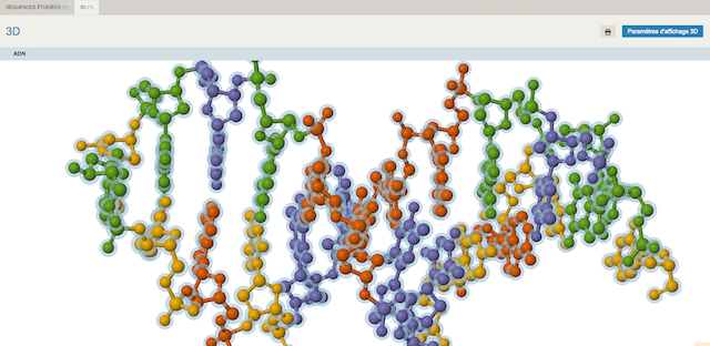 Séquence d'ADN en mode 3D, paramètres d'affichage : boules et bâtonnets