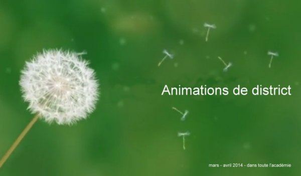 Animations de district