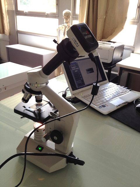 MotiCam X fixée sur un microscope optique